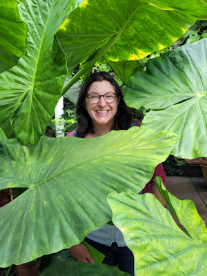 Sarah Holme, RHS International Clematis Registrar, UK