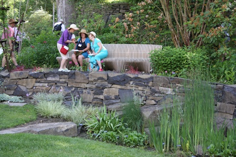 Discussions in the garden