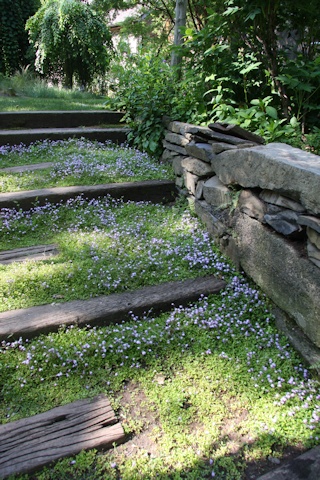 Delicately planted stone steps