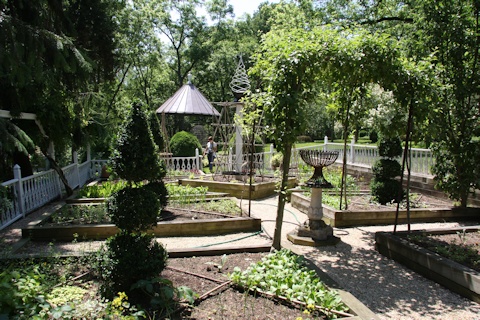 Formally laid out vegetable / herb garden